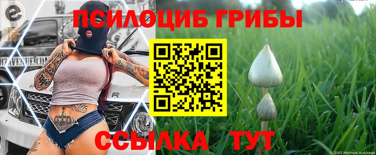 Кропоткин  Псилоцибиновые грибы прущие грибы  Псилоцибиновые грибы Psilocybe  цены   Вход с VPN 