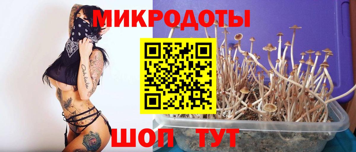 Псилоцибиновые грибы Cubensis Кропоткин